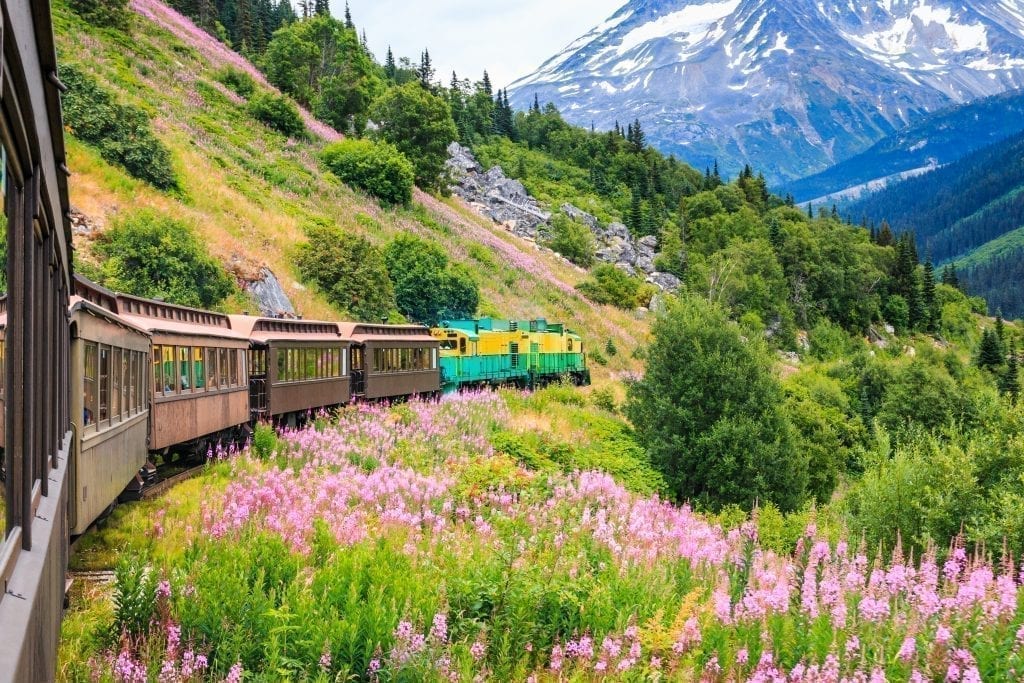 Train along an Alaska mountainside with wildflowers in the foreground and a mountain in the background. Alaska is one of the most beautiful places in the us