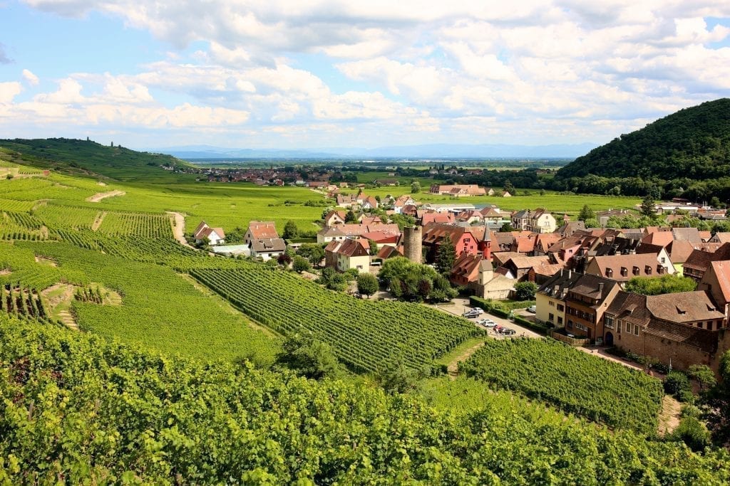 沿着阿尔萨斯葡萄酒之路的葡萄园，在照片的右边可以看到远处的一个村庄