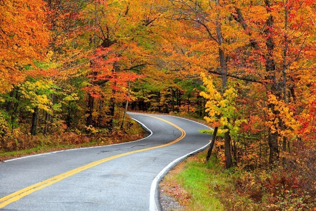 在新英格兰，弯曲的道路被秋天的树叶包围，正如你将看到秋天从波士顿公路旅行!