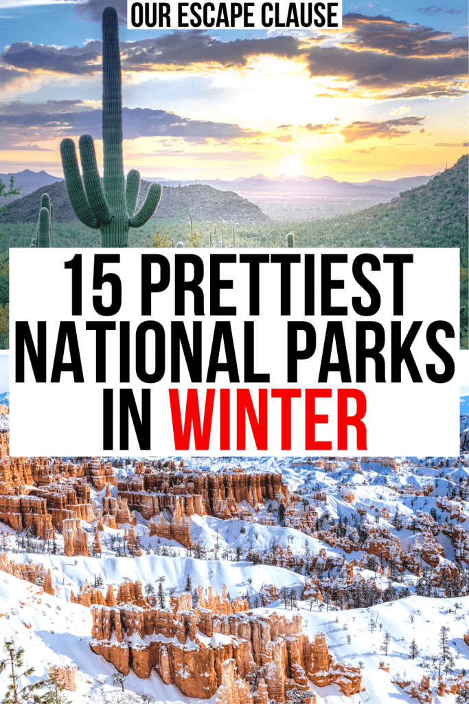 2张美国国家公园的照片，萨瓜罗国家公园和布莱斯峡谷。白底黑红相间的文字写着“冬天最美丽的15个国家公园”
