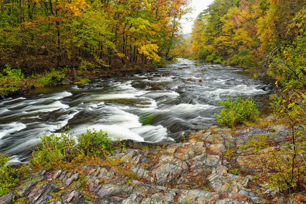 在河狸中流动的河流弯曲了被秋天的树叶包围的州立公园
