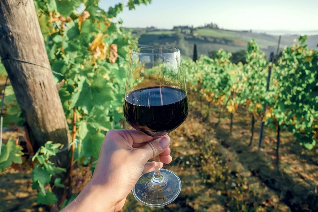 在托斯卡纳品尝葡萄酒时，一杯红酒被举在葡萄藤前，这是欧洲旅行清单上的一项体验必威体育官方登录