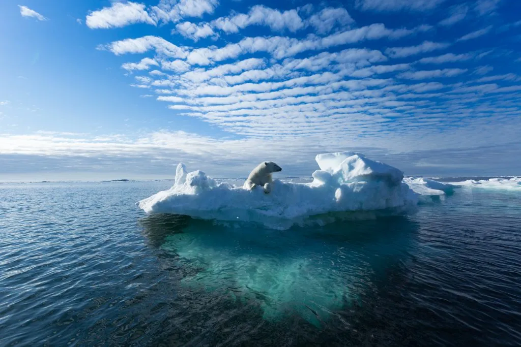 一只北极熊坐在挪威斯瓦尔巴群岛结冰的冰川上，这是欧洲旅游目的地的最佳愿望清单之一必威体育官方登录