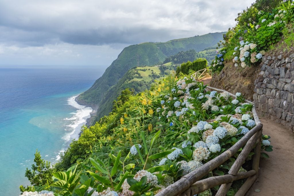 亚速尔悬崖边的徒步旅行路线的观点，排列着绣球花。亚速尔群岛是欧洲遗愿清单上的一个目的地