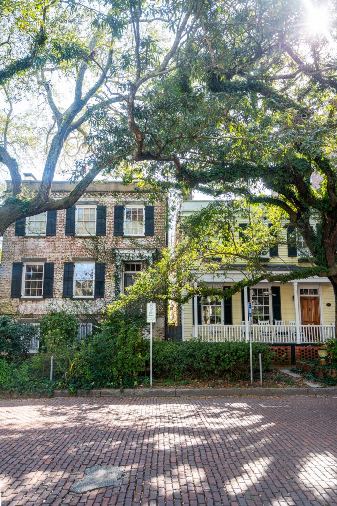 历史悠久的房屋被橡树包围在最美丽的草原街道之一