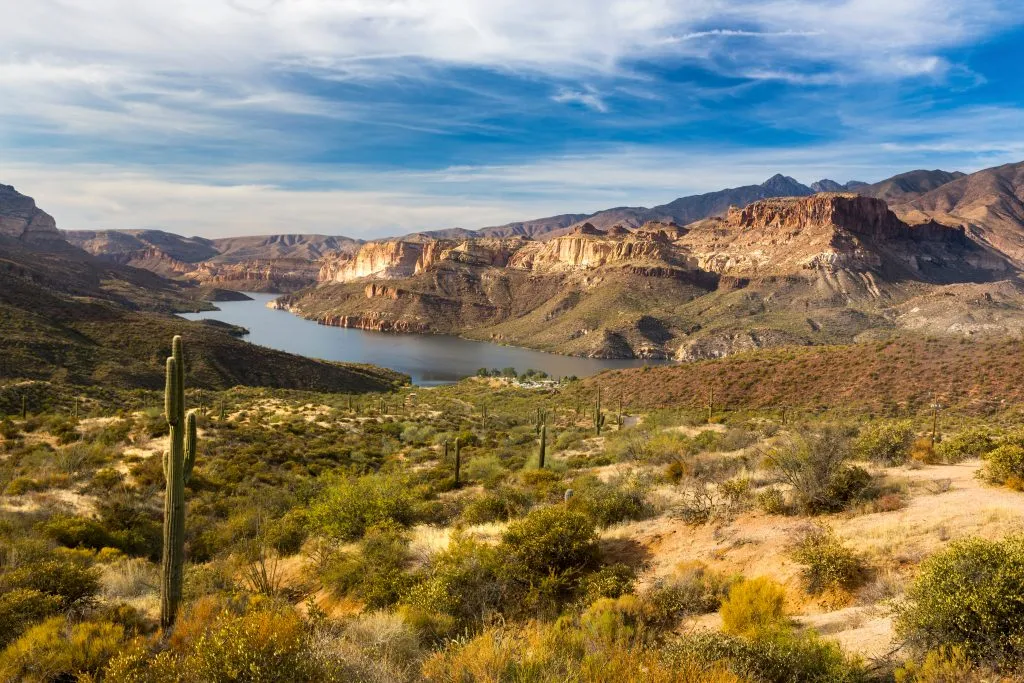 沿着历史悠久的阿帕奇步道游览，这是亚利桑那州最好的旅游景点之一，前景是仙人掌，背景是一个湖