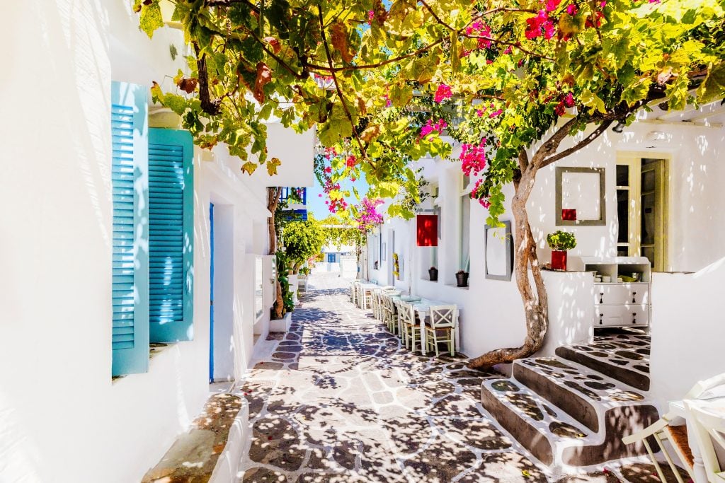小街上白色的建筑上开着粉红色的花，这是7天游览希腊时常见的景象