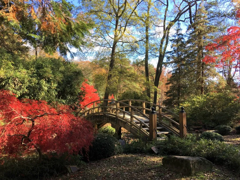 弗吉尼亚州里士满的秋叶小桥