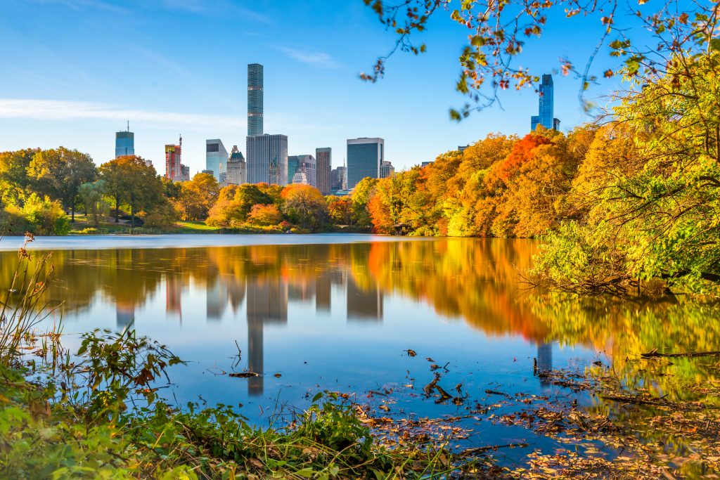 美国秋季假期期间从中央公园看到的曼哈顿天际线