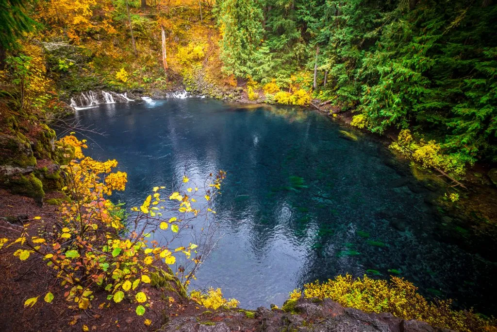 俄勒冈州的Tamolitch蓝色泳池，这是在美国秋季度假时看到的