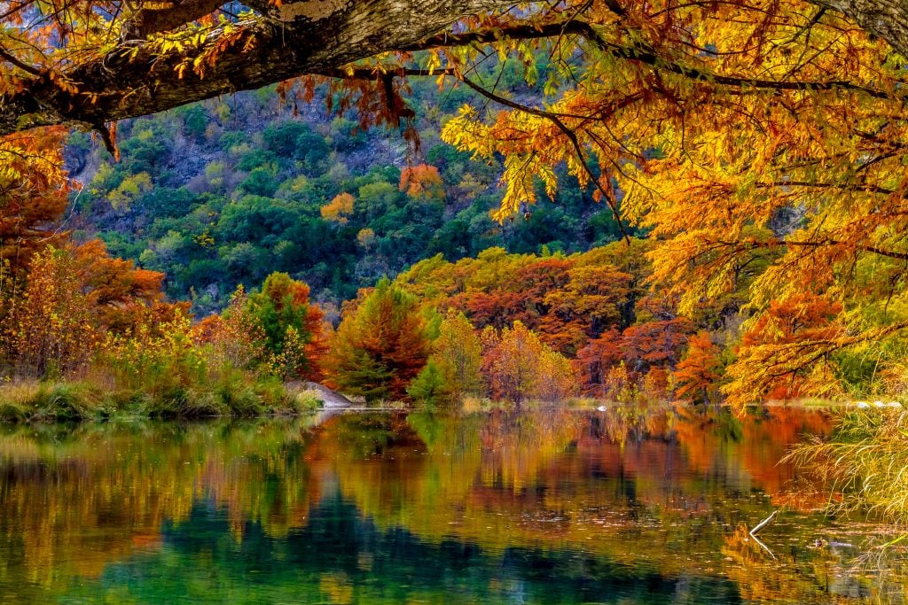德克萨斯州加纳州立公园的秋叶，是美国11月最温暖的旅游胜地之一