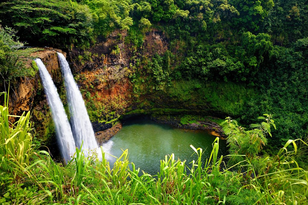 夏威夷考艾岛森林中的双瀑布