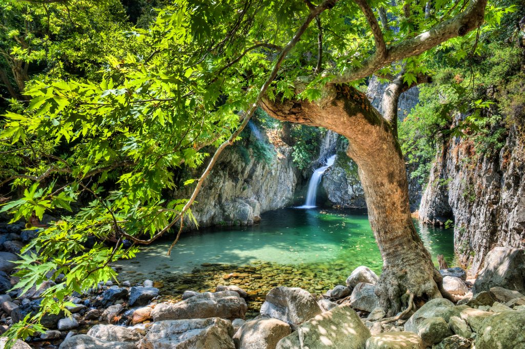 希腊萨莫斯拉克的小瀑布，前景是一棵枝叶繁茂的树，当你在希腊度过一个星期时，这是一颗隐藏的宝石
