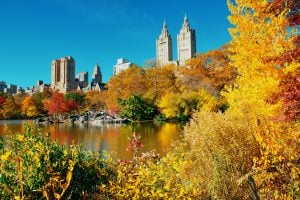 中央公园有秋天的树叶，是美国十一月最好的旅游景点之一