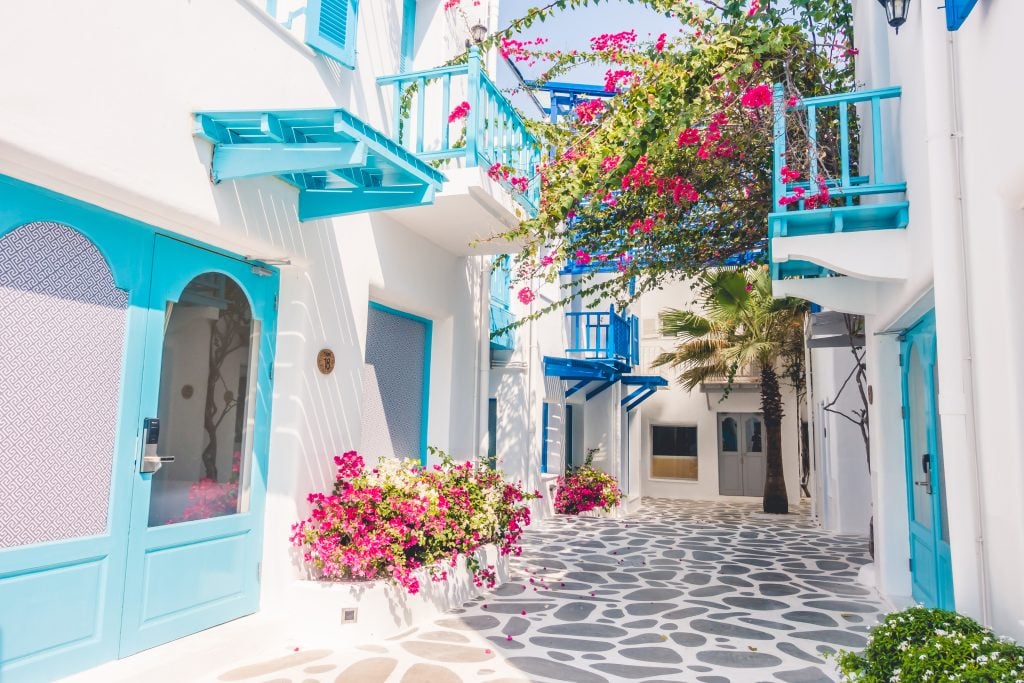 小街上有一个蓝白相间的希腊小村，开着粉红色的花