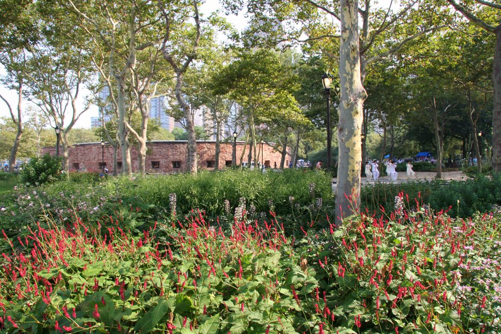 炮台上的红花，背景中可见克林顿城堡，是参观纽约市金融区的最佳地点之一