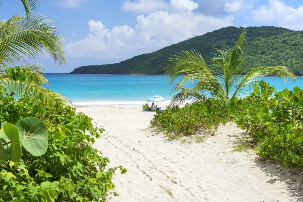 通往波多黎各加勒比海海滩的白沙小径