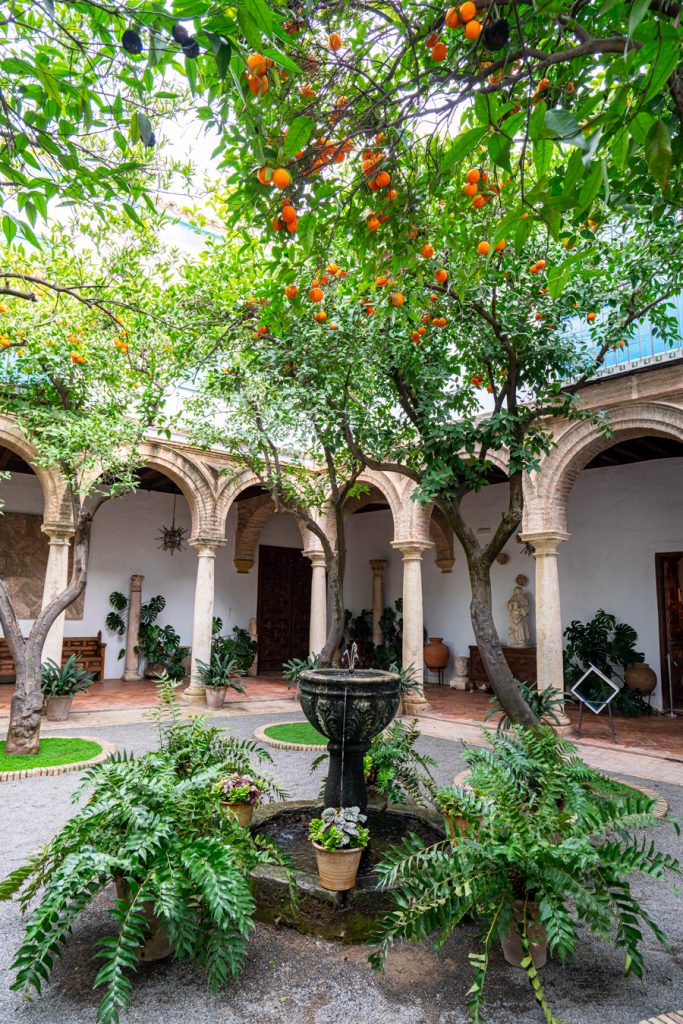 天井在palacio de viana，最好的景点之一科尔多瓦西班牙