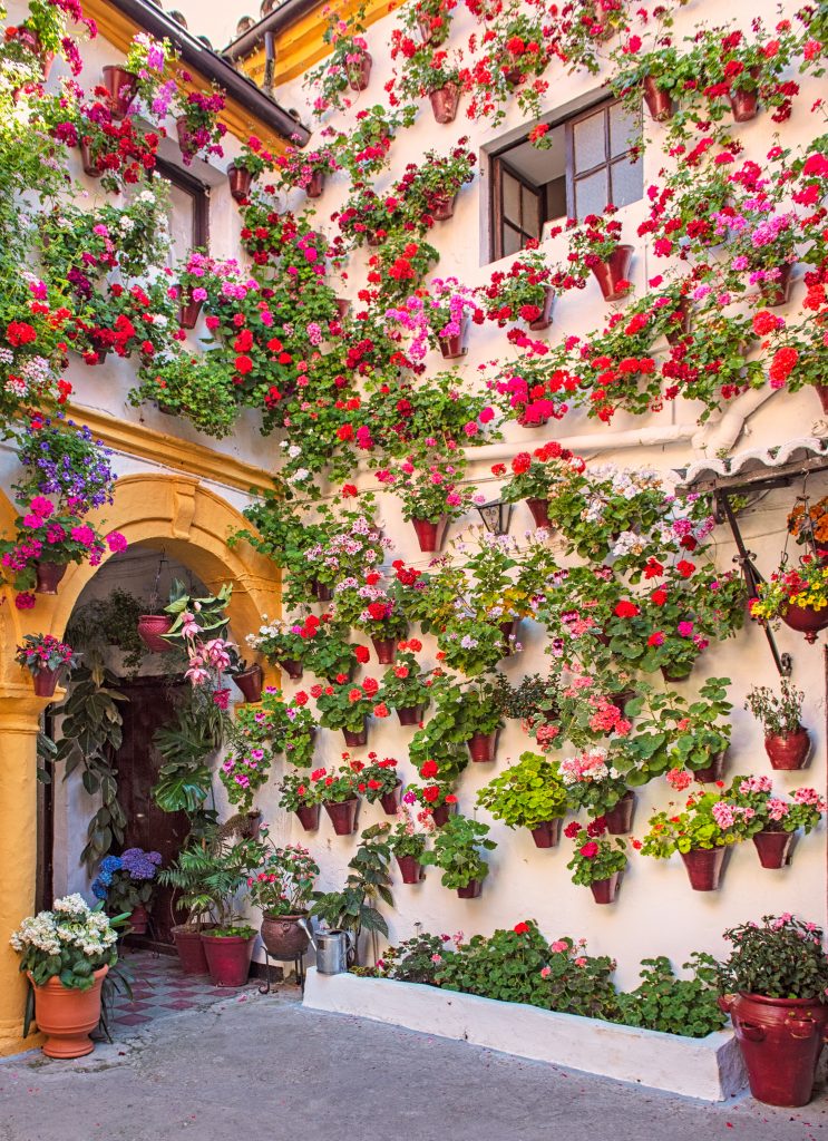 五颜六色的露台上满是鲜花，是西班牙科尔多瓦最好的地方之一