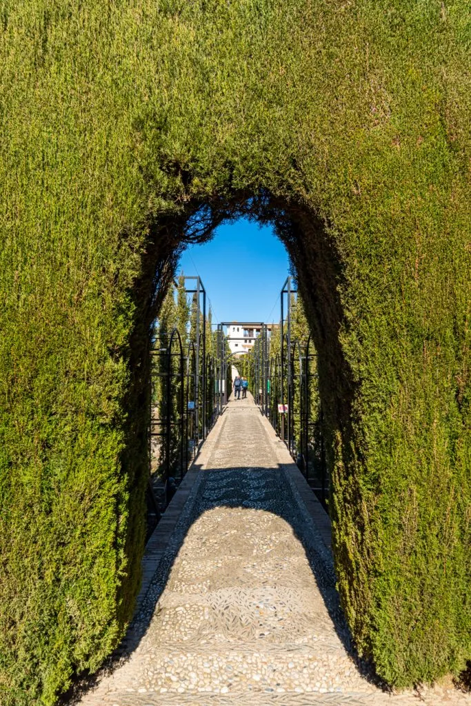 由修剪过的树篱组成的隧道通向花园