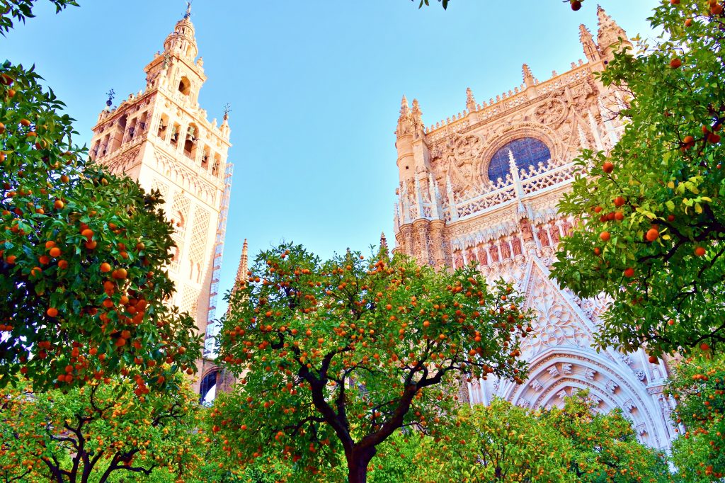 透过酸橙树欣赏塞维利亚大教堂和吉拉尔达，这是西班牙南部10天行程的一部分
