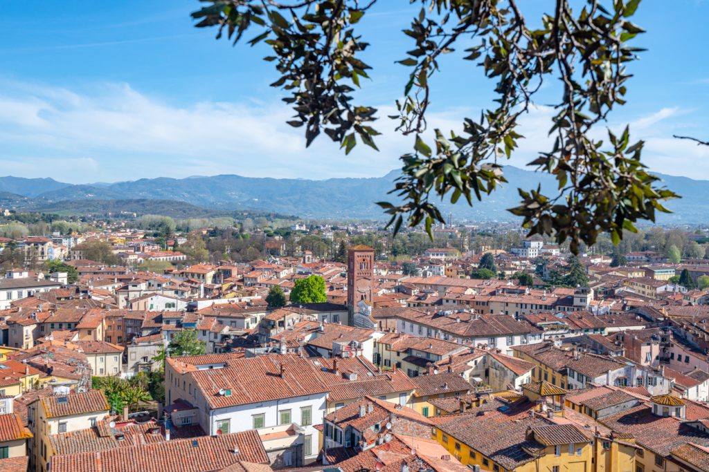从高处俯瞰意大利卢卡，贴士意大利101包括攀登尽可能多的视角