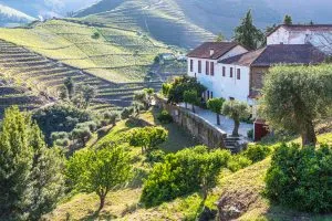 葡萄牙杜罗山谷的露台与右侧的白色建筑，在葡萄牙自驾游行程中美丽的景色