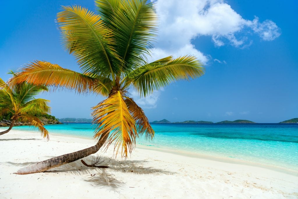 所罗门湾海滩有棕榈树，是乌斯维岛最美丽的海滩之一