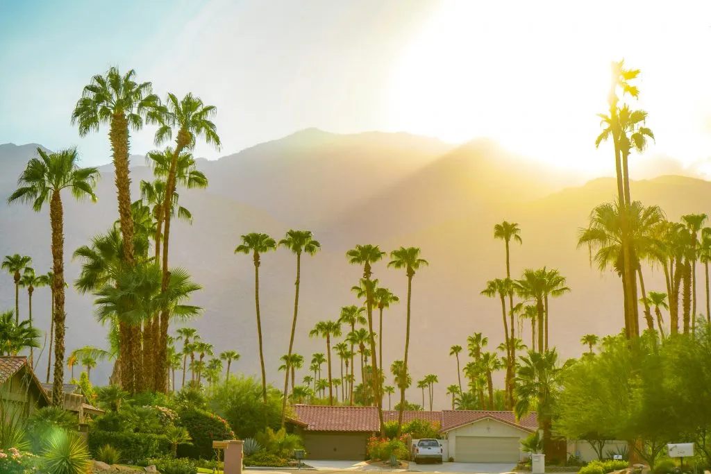 上世纪中叶的家被棕榈树包围，日落下在加利福尼亚棕榈泉旅行必威体育官方登录