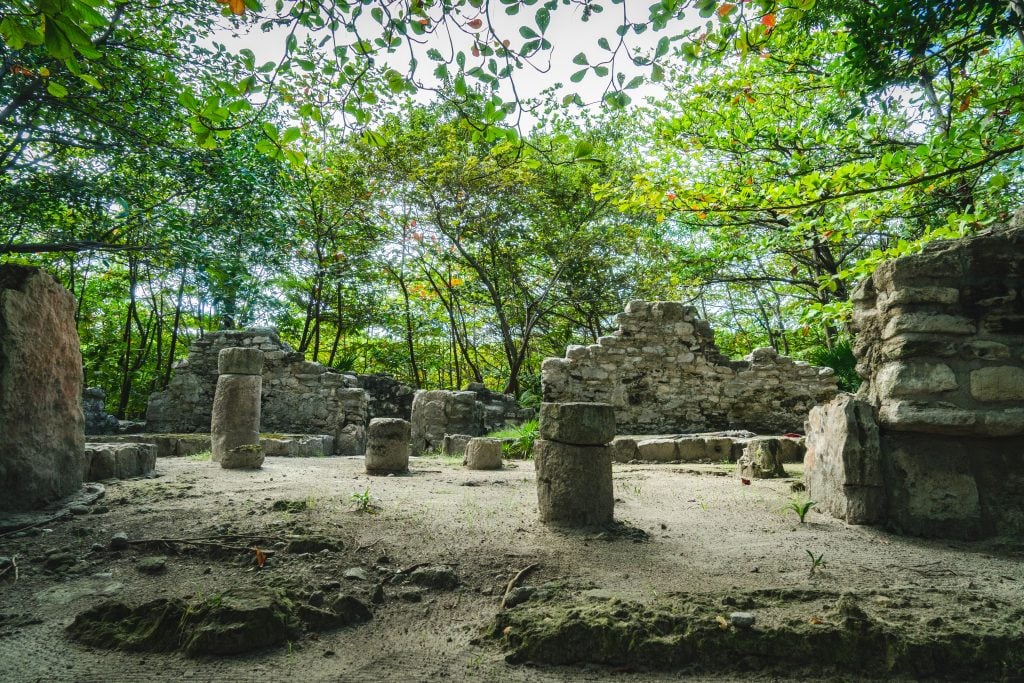 墨西哥圣米格里托玛雅遗址丛林阴影下的圆柱遗迹