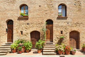参观意大利托斯卡纳皮恩扎时看到的带有绿色植物的房屋前门