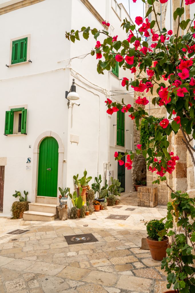 白色的建筑，绿色的门和红色的花在前景在波利尼亚诺一个mare puglia城镇参观