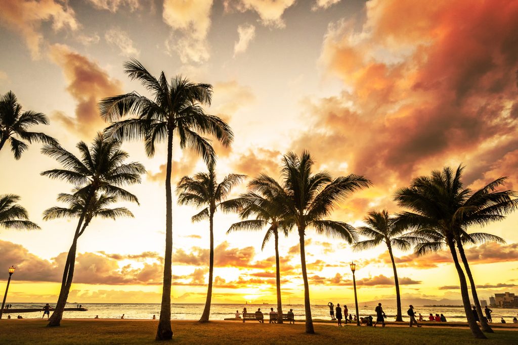 日落时分的瓦胡岛夏威夷海滩，前景是棕榈树