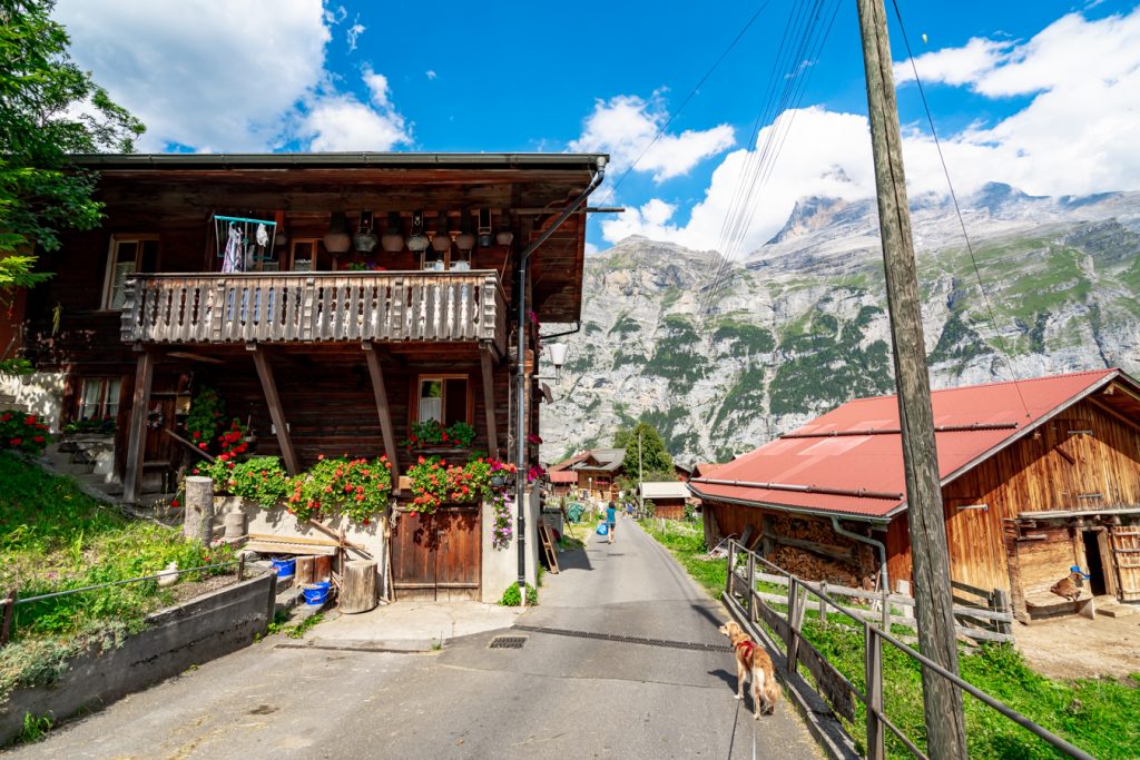 漫步穿过瑞士小屋时，享受在瑞士gimmelwald最好的事情