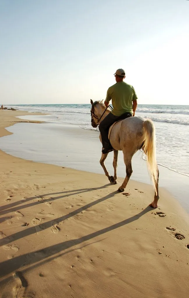 在黄金时段，一个人骑着白马在沙滩上