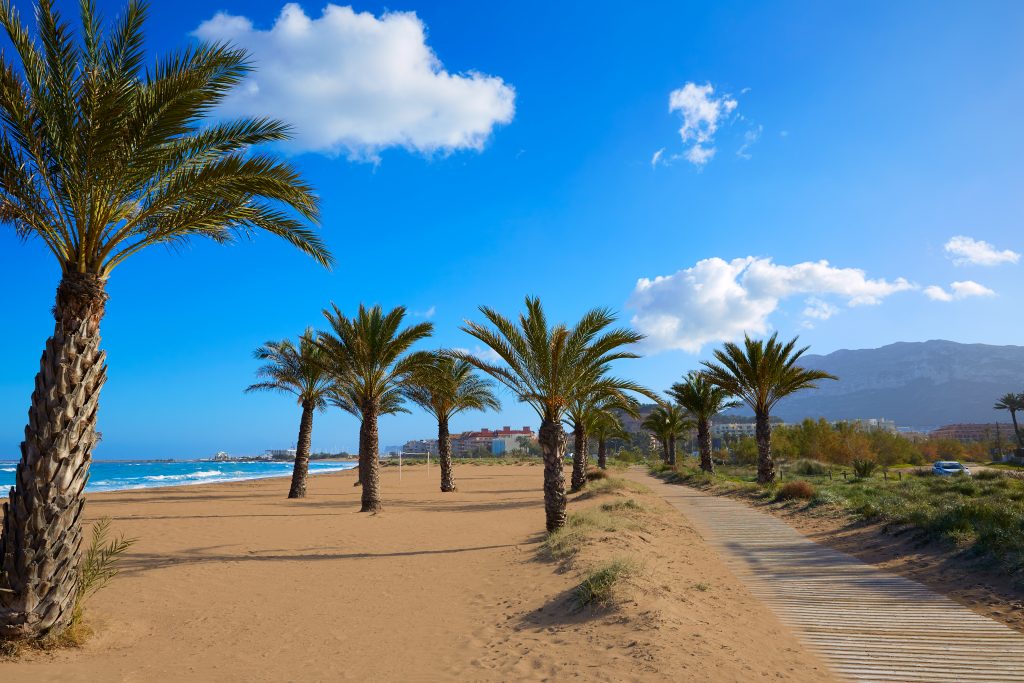 德尼亚的沙滩上有棕榈树，是西班牙最好的海滨城镇之一