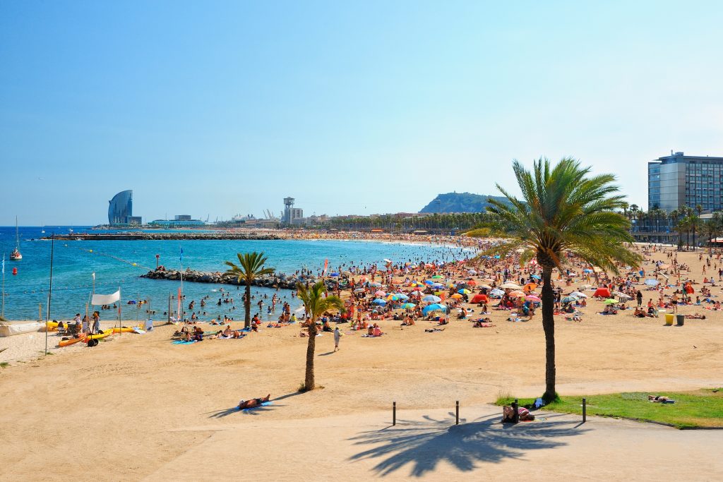 在拥挤的日子里，巴塞罗那海滩的景色，前景中有一棵棕榈树
