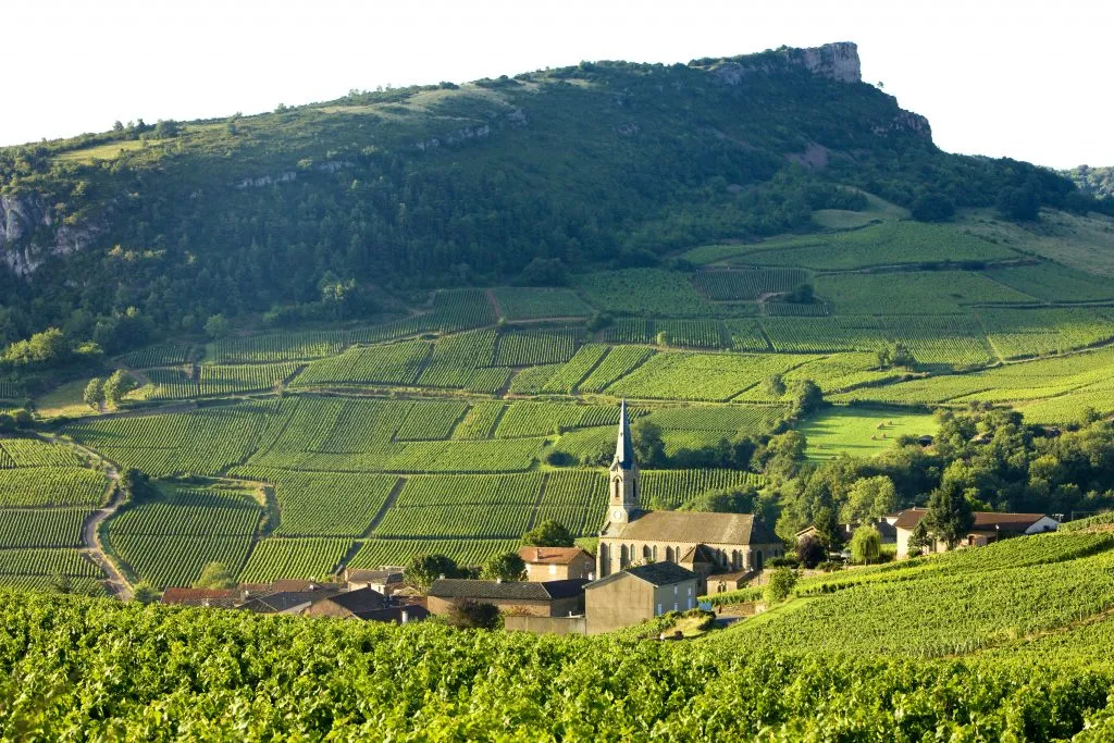 法国勃艮第的Vergisson村庄，前景是葡萄园
