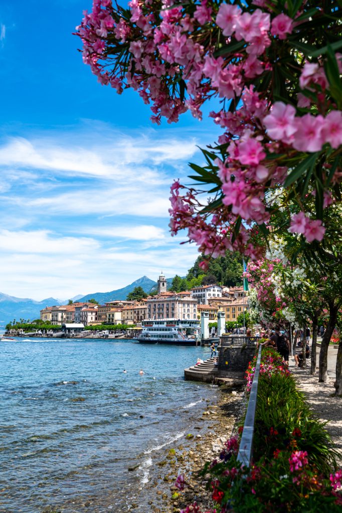 意大利贝拉吉奥镇，科莫湖在左边，紫色的花朵在前景，一个梦幻般的意大利夏季度假胜地