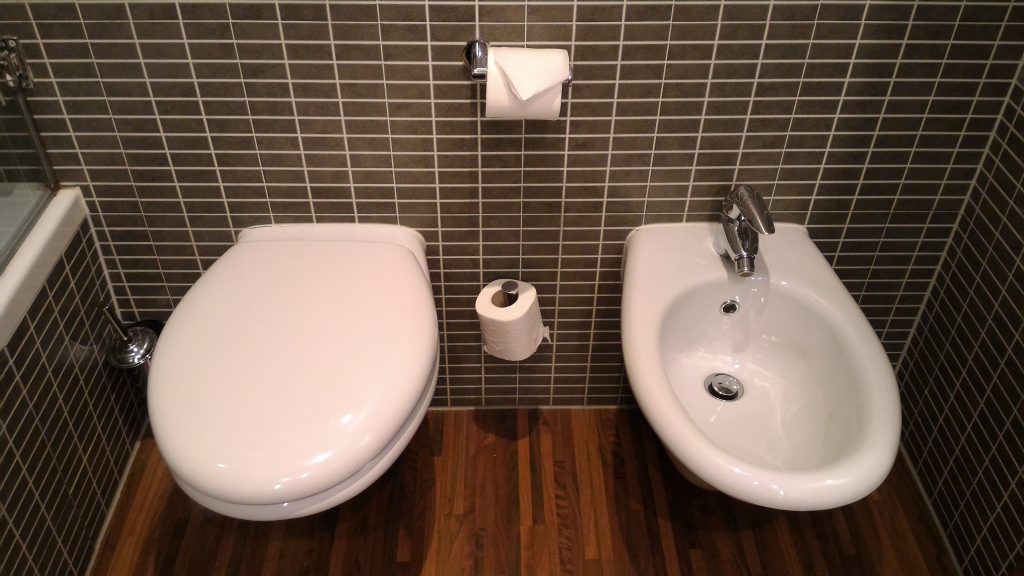 在欧洲，坐浴盆和厕所是紧挨着的