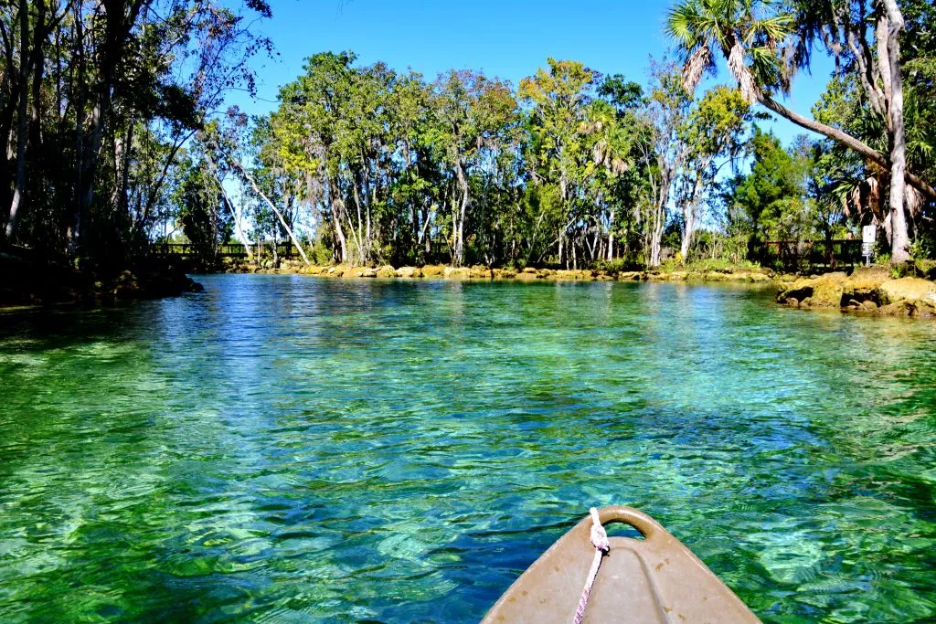佛罗里达州三姐妹泉清澈的水与sup板，是美国夏季最好的旅游胜地之一