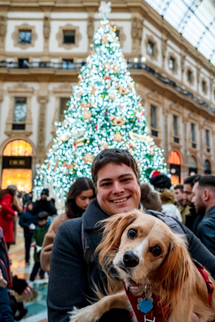 jeremy storm and ranger storm in front of milan christmas tree galleria vittorio emanuele